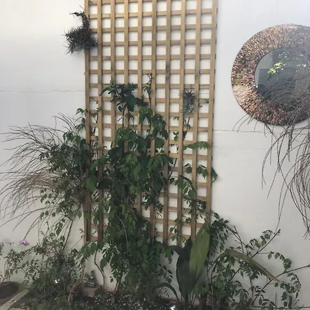 アパート La Casita Del Racou